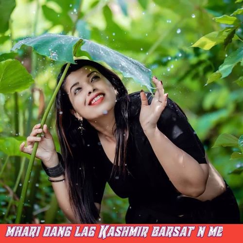 Mhari dang lag Kashmir barsat n me