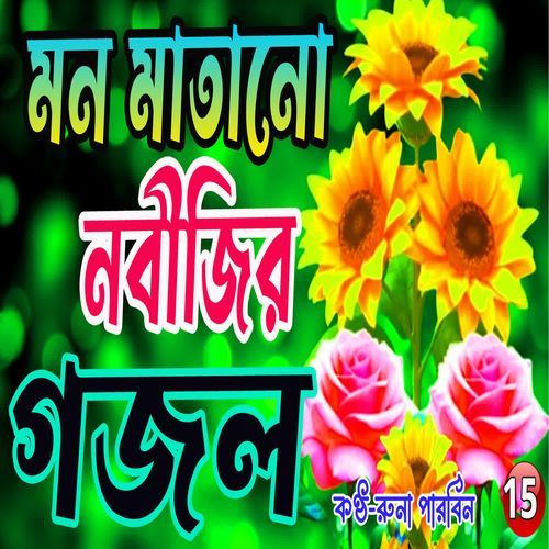 Muhammad Mustafa Salle Wala Tumi