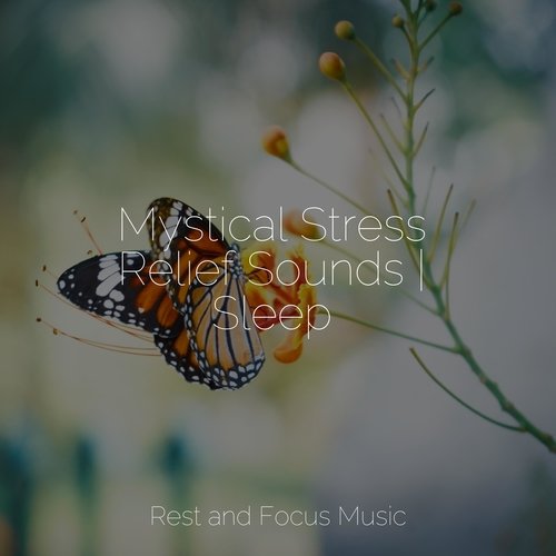 Winter Dreams cover art