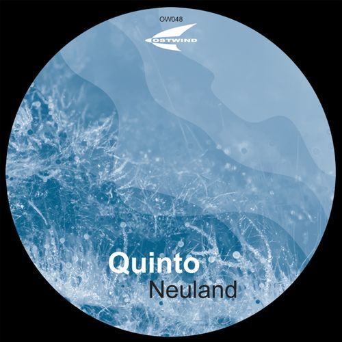 Neuland (Synthapella) cover art