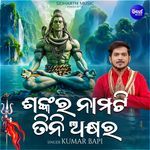 Sankara Namati Tini Akhyara