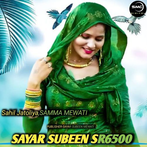 Sayar Subeen Sr6500