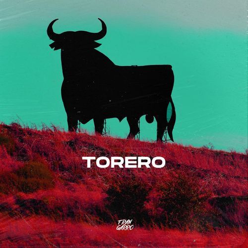 TORERO