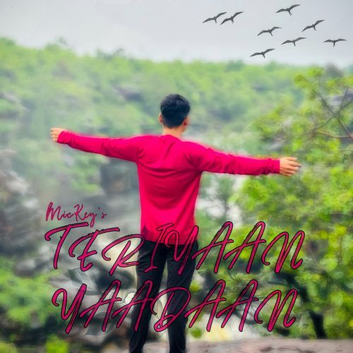 Teriyaan Yaadaan