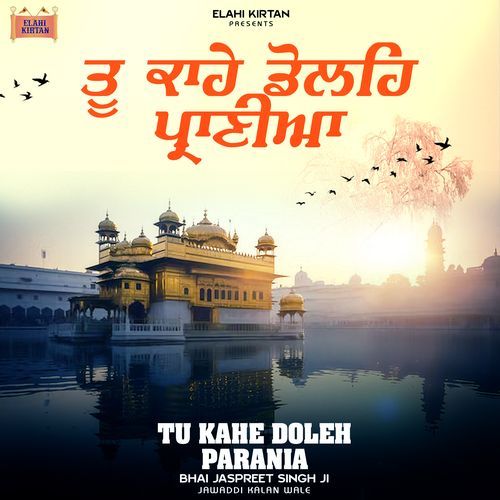 Tu Kahe Doleh Parania