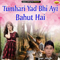 Tumhari Yad Bhi Ayi Bahut Hai