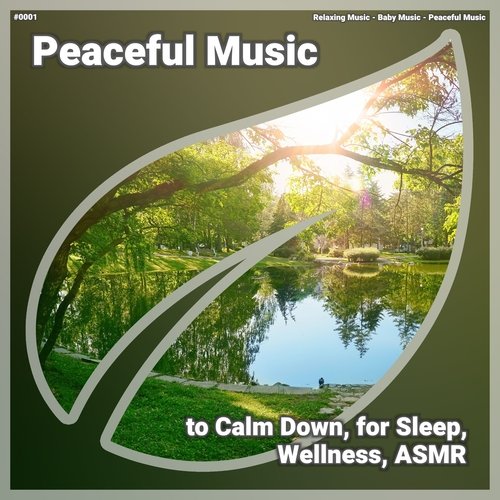 ! #0001 Peaceful Music to Calm Down, for Sleep, Wellness, ASMR_poster_image