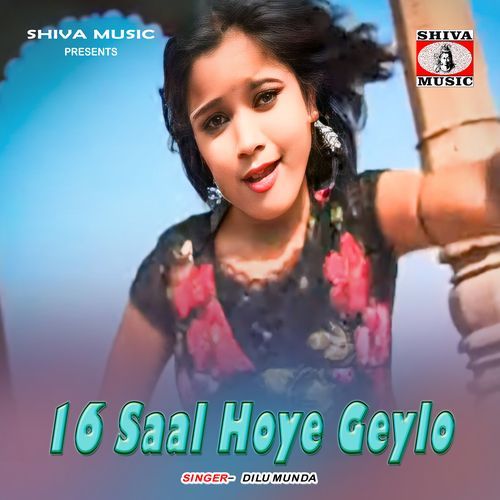 16 Saal Hoye Geylo