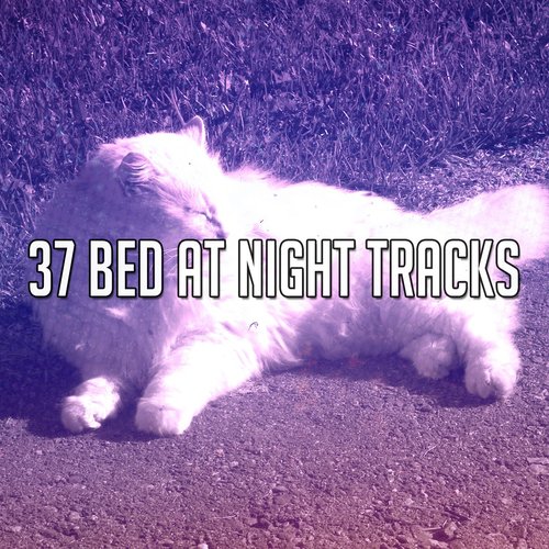 37 Bed At Night Tracks