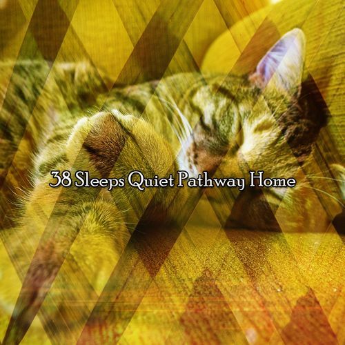 38 Sleeps Quiet Pathway Home