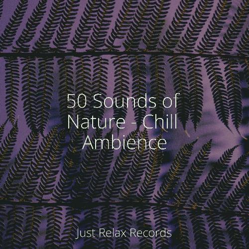 50 Sounds of Nature - Chill Ambience