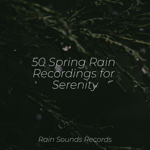 50 Spring Rain Recordings for Serenity