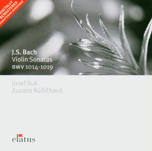 Bach, JS : Violin Sonata No.2 in A major BWV1015 : II Allegro Assai