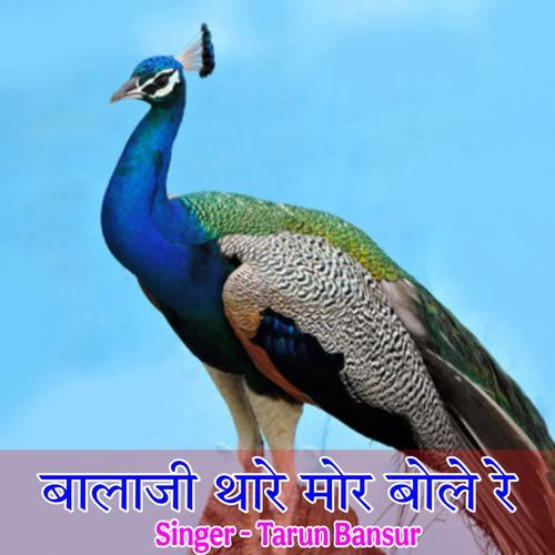 Balaji Thare More Bole Re
