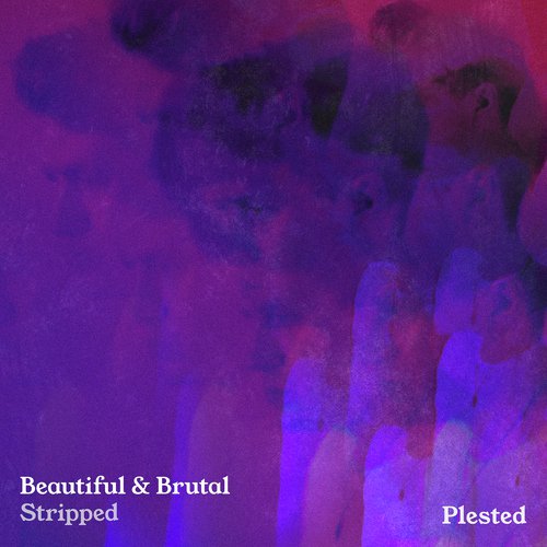 Beautiful &amp; Brutal (Stripped)_poster_image