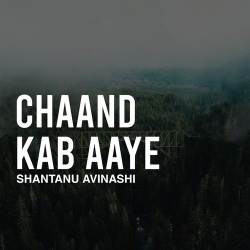 Chaand Kab Aaye_poster_image