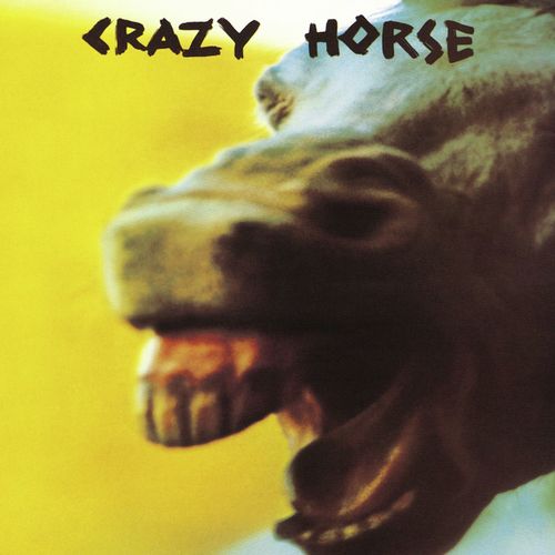 Crazy Horse_poster_image