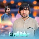 Da Afghan Da Tem Zoanan