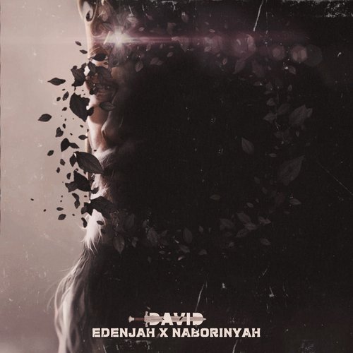 David cover art