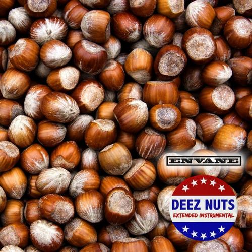 Deez Nuts (Extended Instrumental)