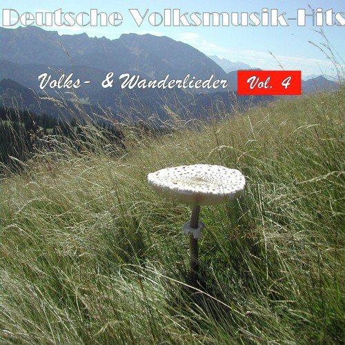 Deutsche Volksmusik Hits - Volks- & Wanderlieder, Vol. 4