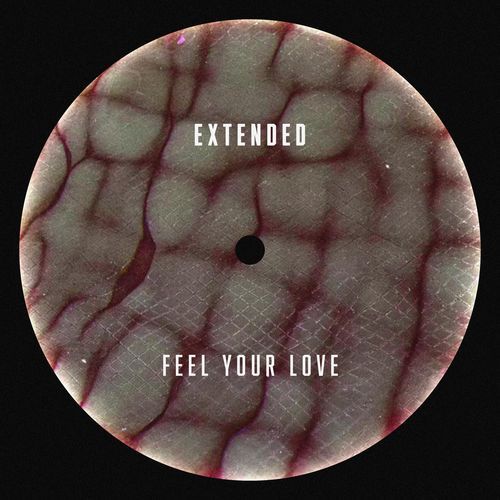Feel Your Love
