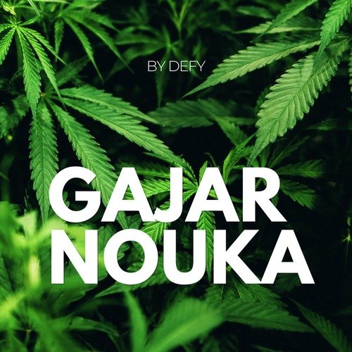 Gajar Nouka