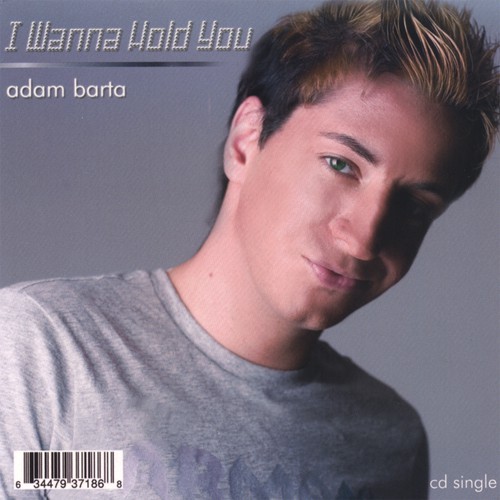 I Wanna Hold You (Maxi CD Single)_poster_image