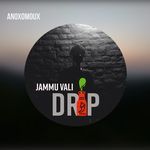 Jammu Vali Drip