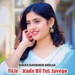 Kade Dil Tut javego