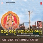 Kattu Kattu Irumudi Kattu (Ayyappa)