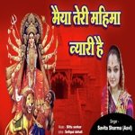 Maiya Teri Mahima Nyari