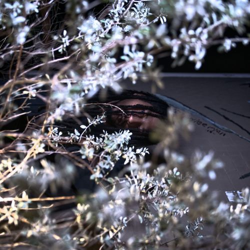 Natural Potions (Pure) cover art