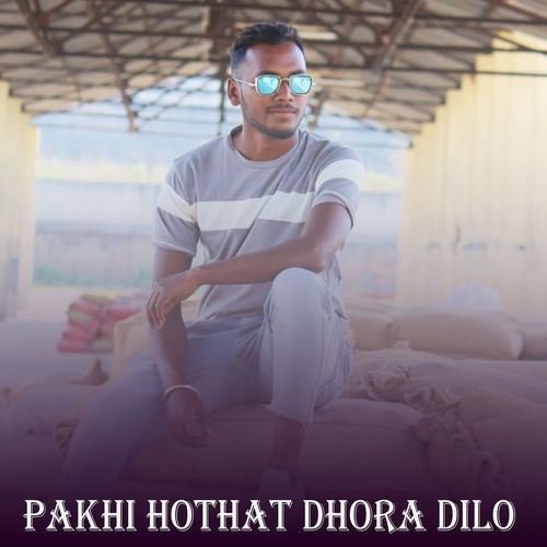 Pakhi Hothat Dhora Dilo