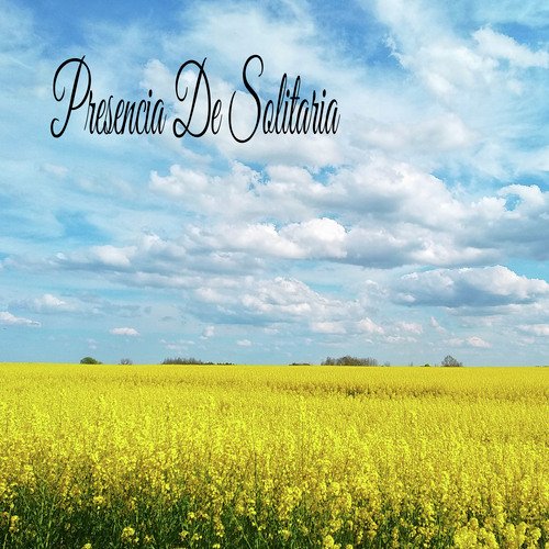Dormir Bien cover art