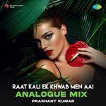 Raat Kali Ek Khwab Men Aai - Analogue Mix