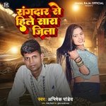 Rangdari Se Hile Sara Jila