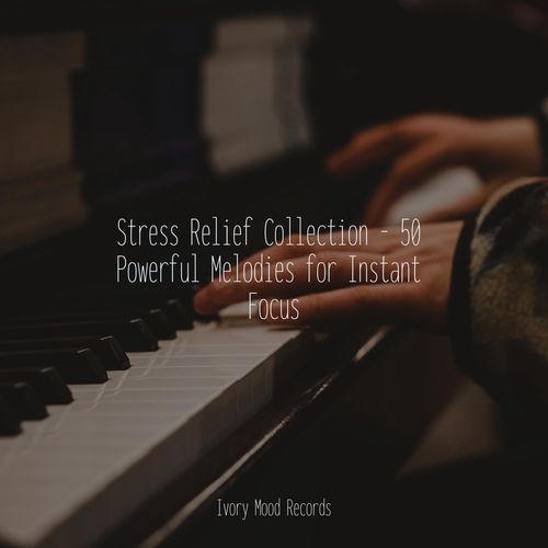 Stress Relief Collection - 50 Powerful Melodies for Instant Focus_poster_image