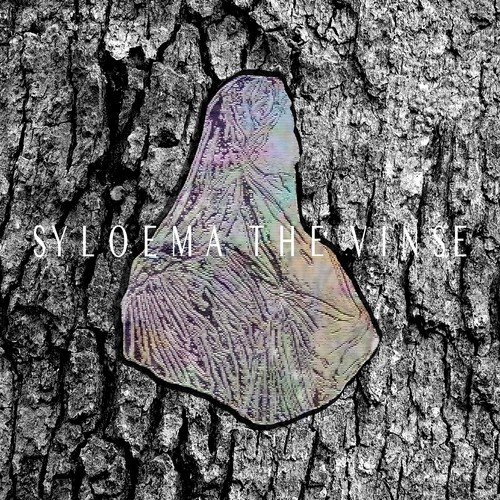 But, Boldies cover art