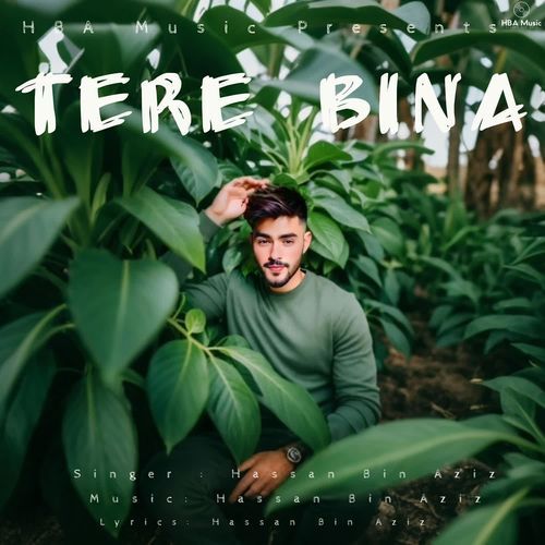 Tere Bina