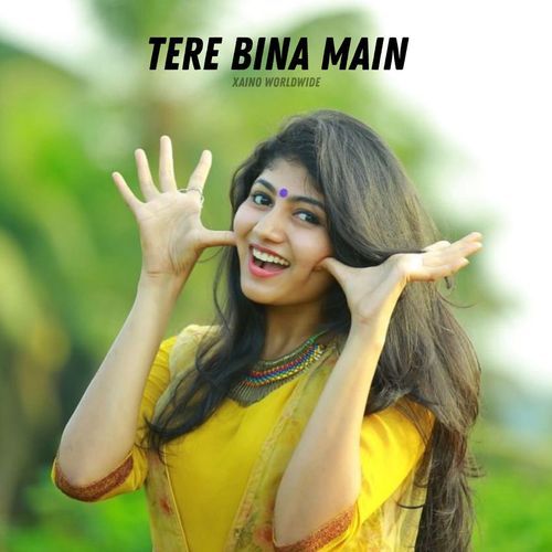 Tere Bina Main