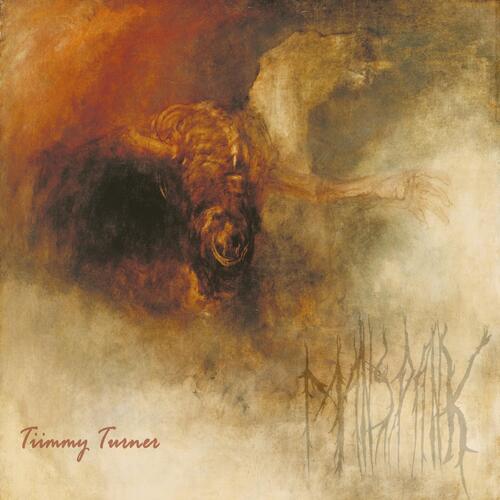 Tiimmy Turner cover art