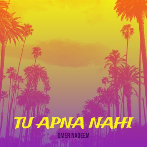 Tu Apna Nahi_poster_image