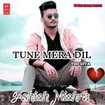 Tune Mera Dil Tod Diya