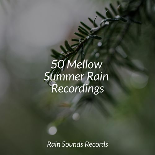 50 Mellow Summer Rain Recordings