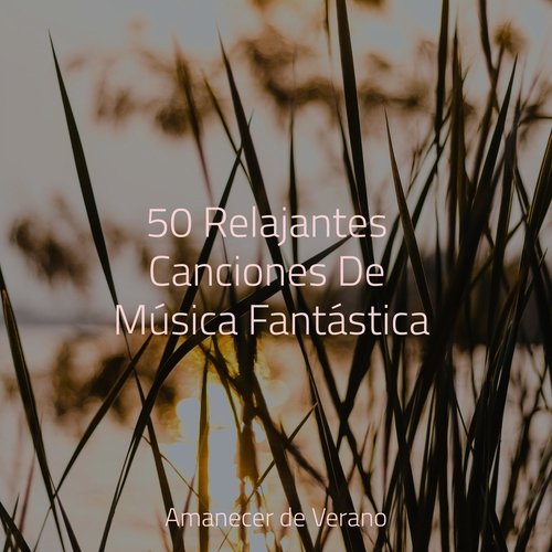 50 Relajantes Canciones De Música Fantástica