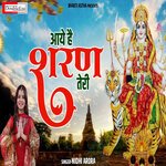 Aaye Hai Sharan Teri