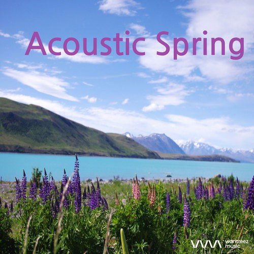 Acoustic Spring
