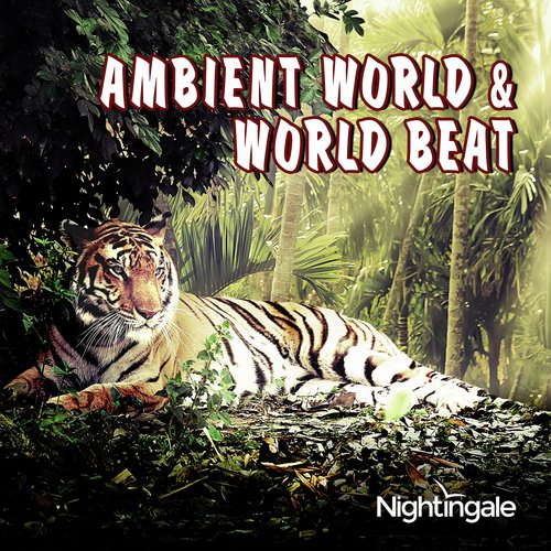 Ambient World & World Beat