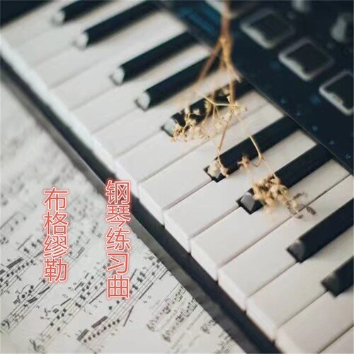 布格缪勒练习曲13 安慰